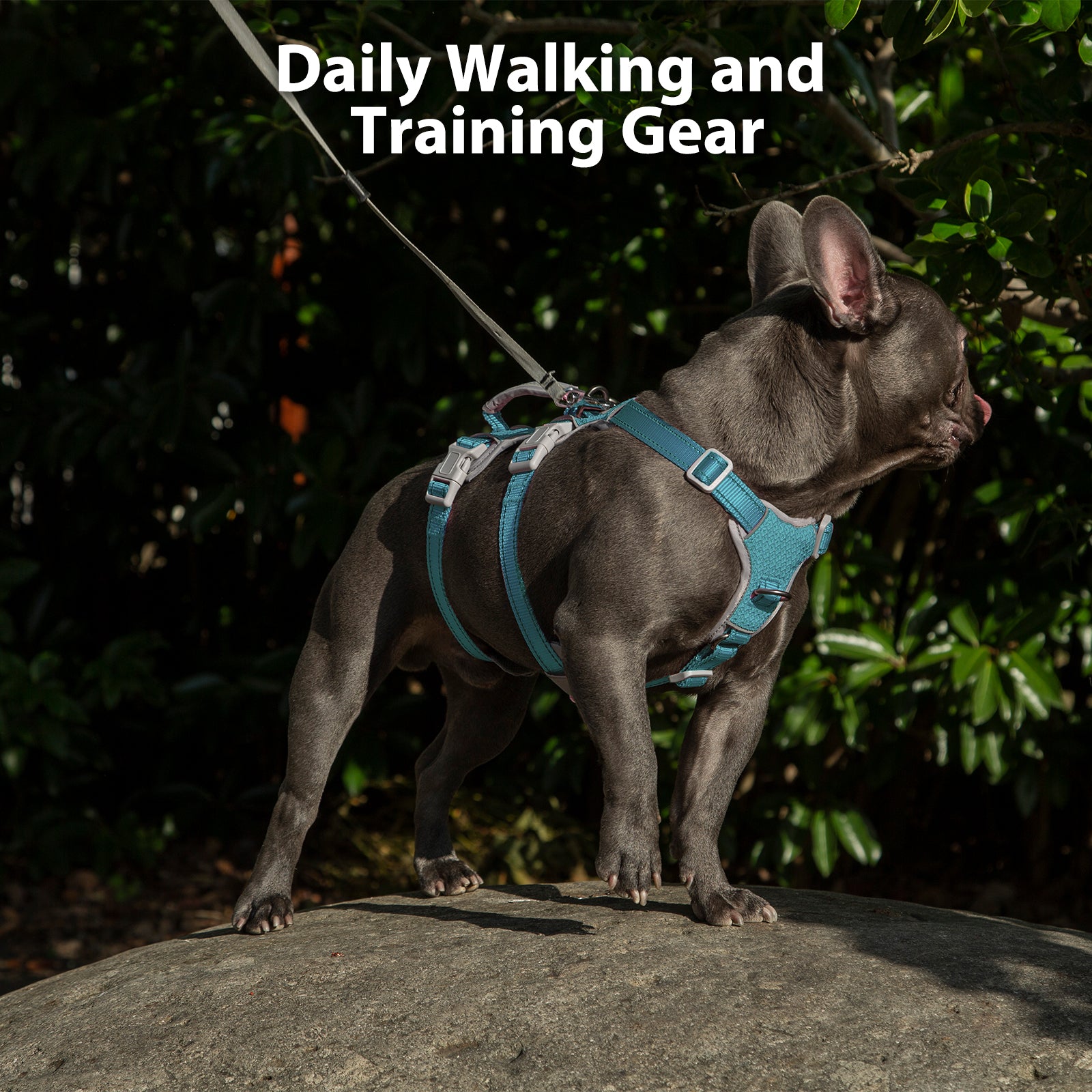 HalfGuardian Reflective Teal dog harness size and fitting information