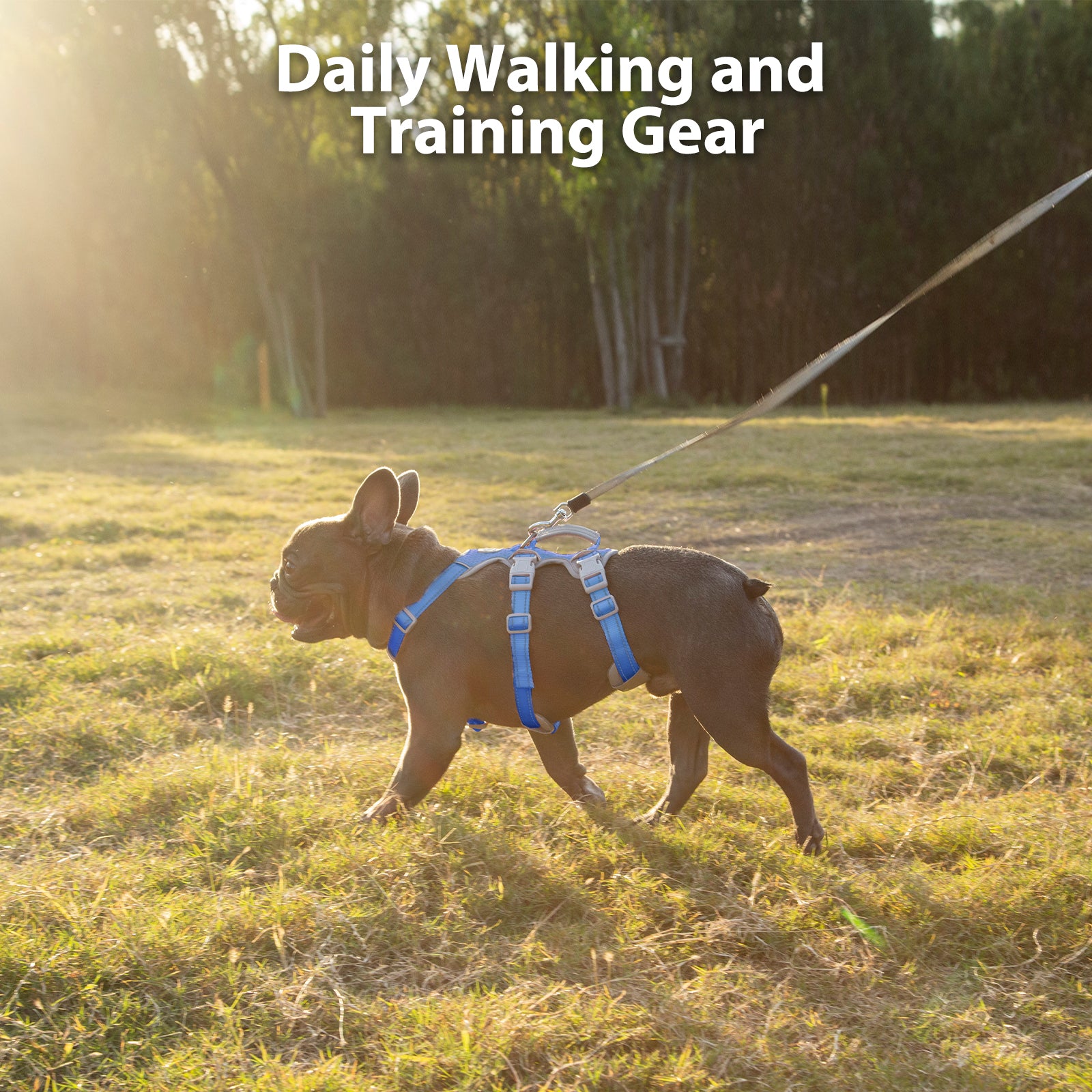 HalfGuardian Reflective Sea Blue dog harness size and fitting information