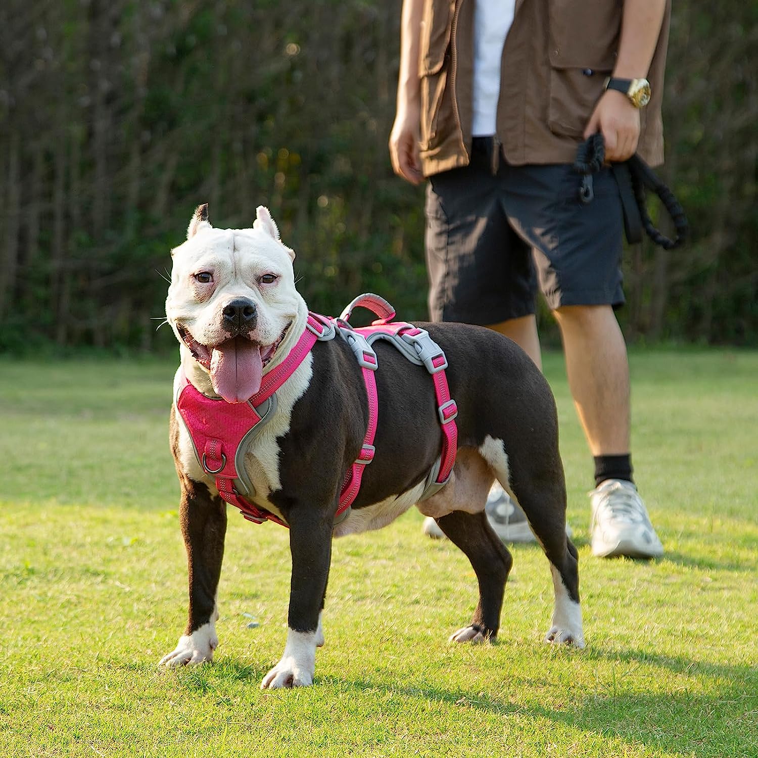 HalfGuardian Dustproof Rose Red dog harness size and fitting information