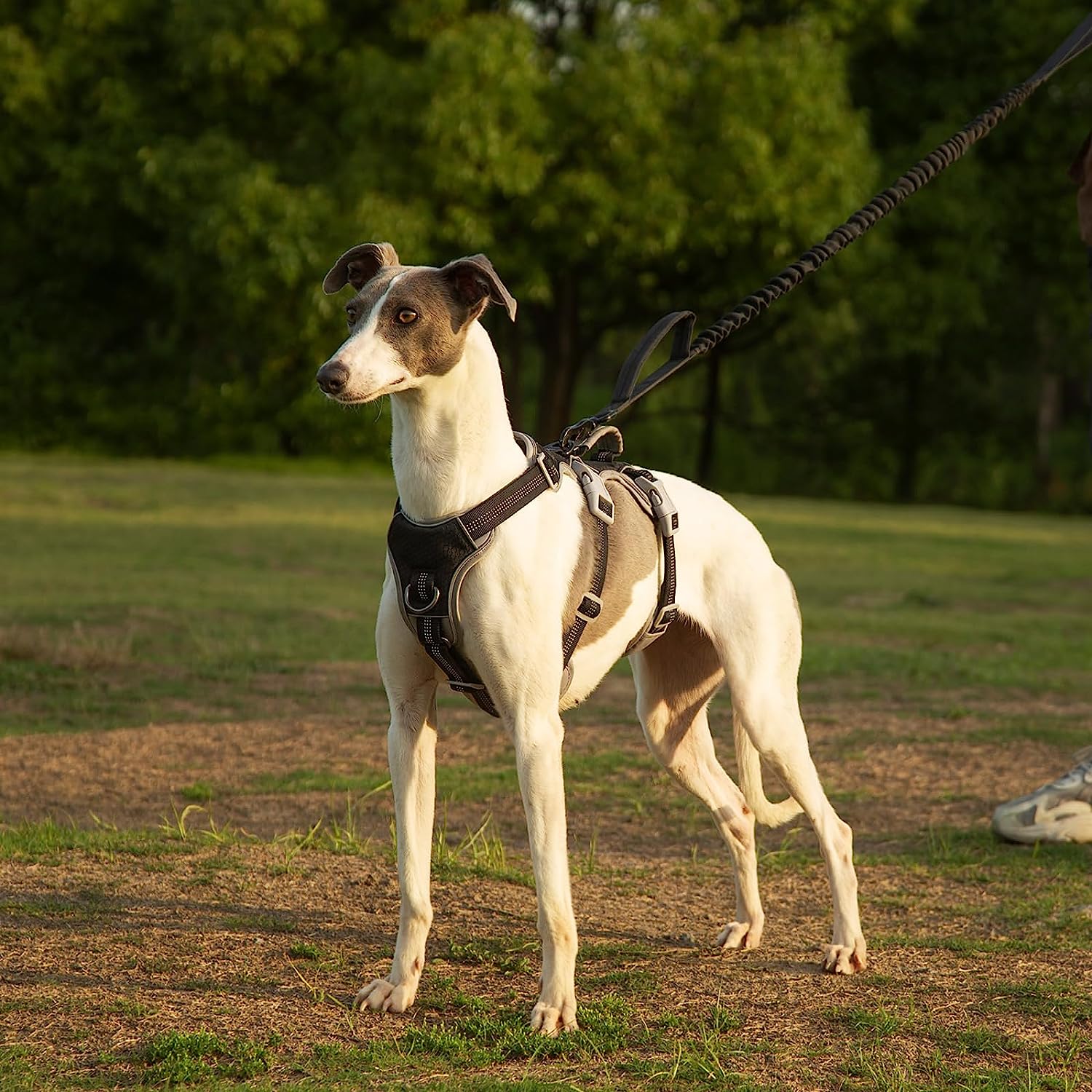 HalfGuardian Dustproof Black Dog Harness — Escape-Proof & No-Pull