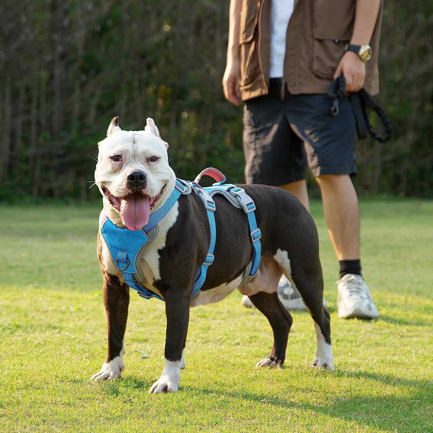 HalfGuardian™ Dustproof Escape Proof Dog Harness Blue