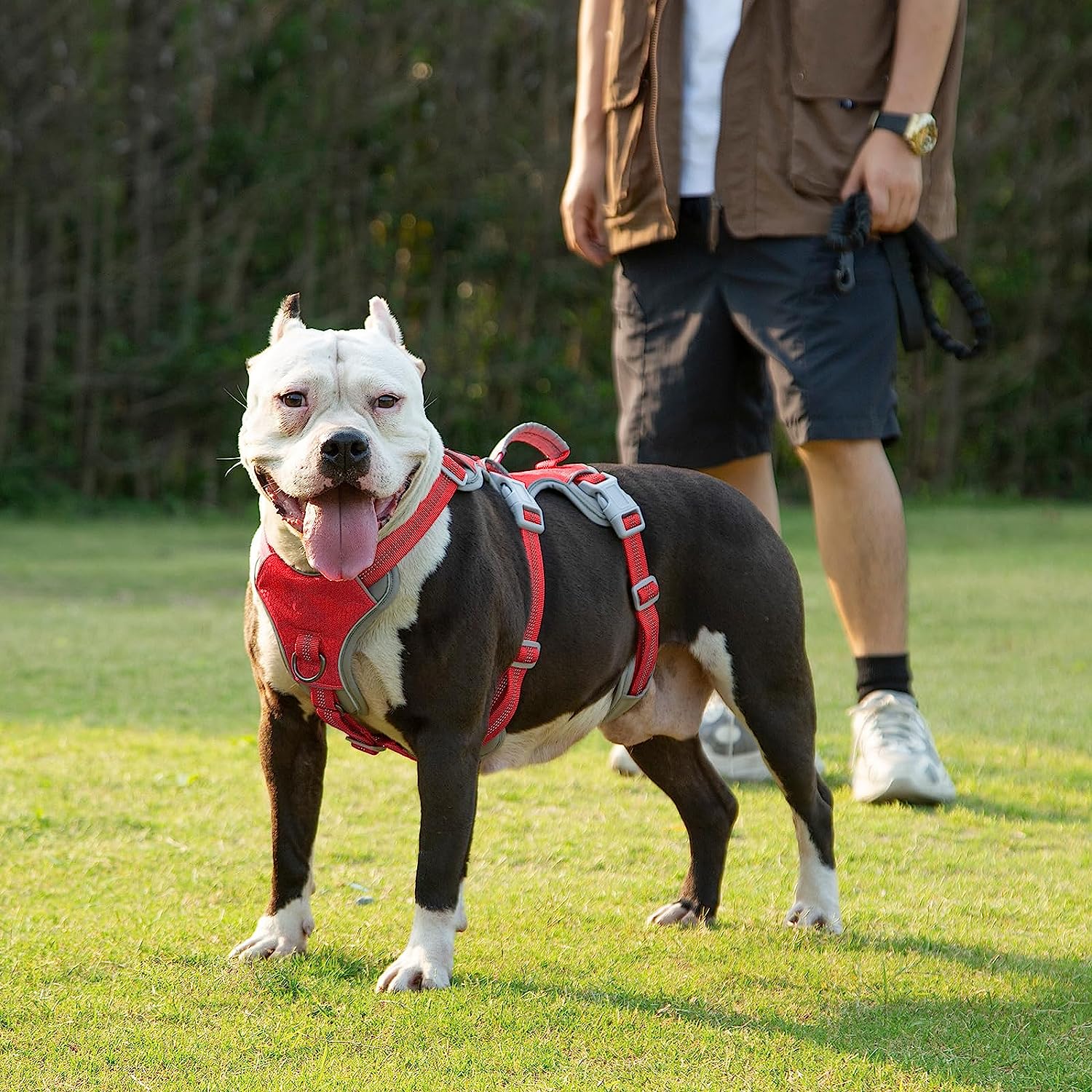 HalfGuardian™ Dustproof Escape Proof Dog Harness Red