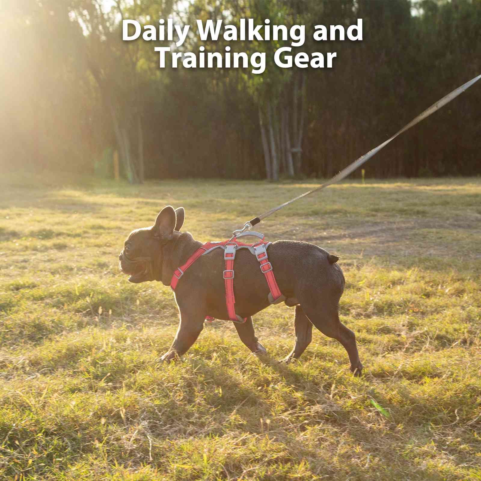HalfGuardian™ Reflective Escape Proof Dog Harness Red