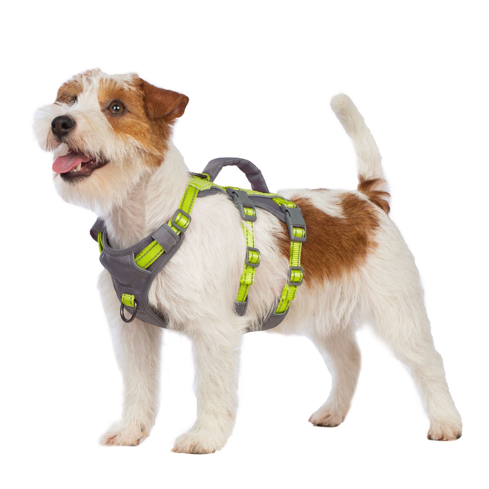 AllShieldPro Reflective Bright Green dog harness alternate product view and strap layout