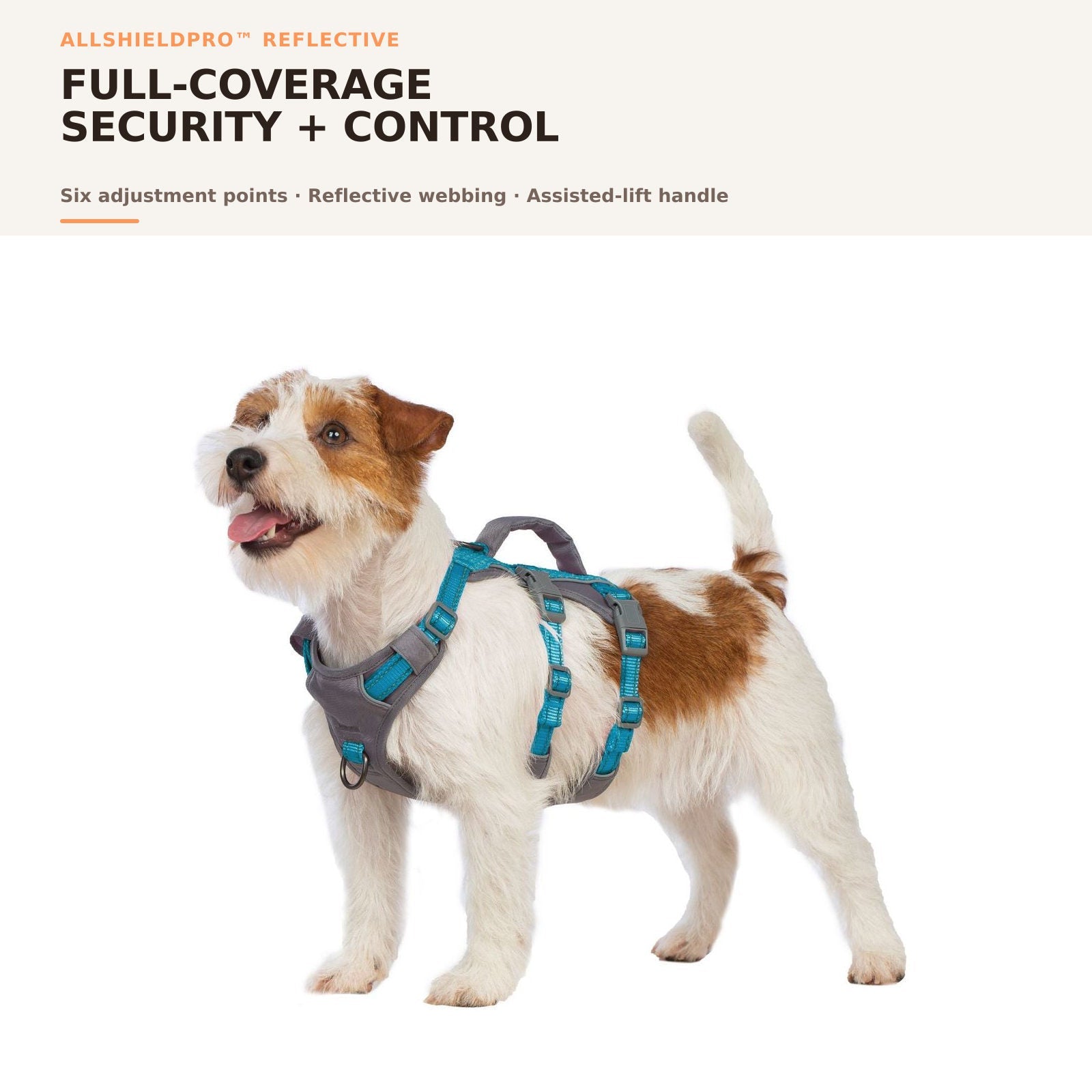 Huntboo AllShieldPro Reflective dog harness in teal blue, overall fit and coverage #color_teal blue