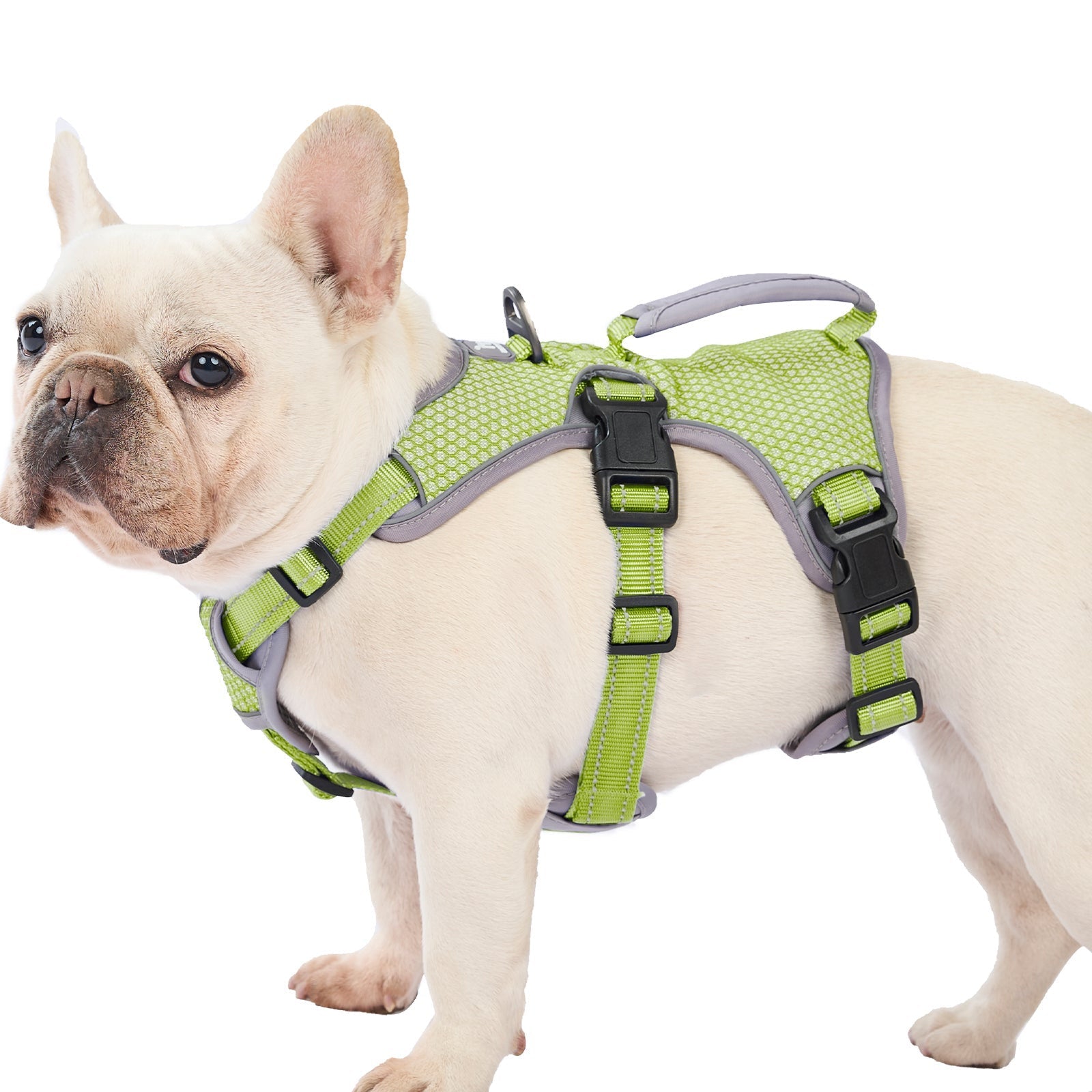 Huntboo BackSecure Reflective dog harness in green, product view on a clean background #color_green