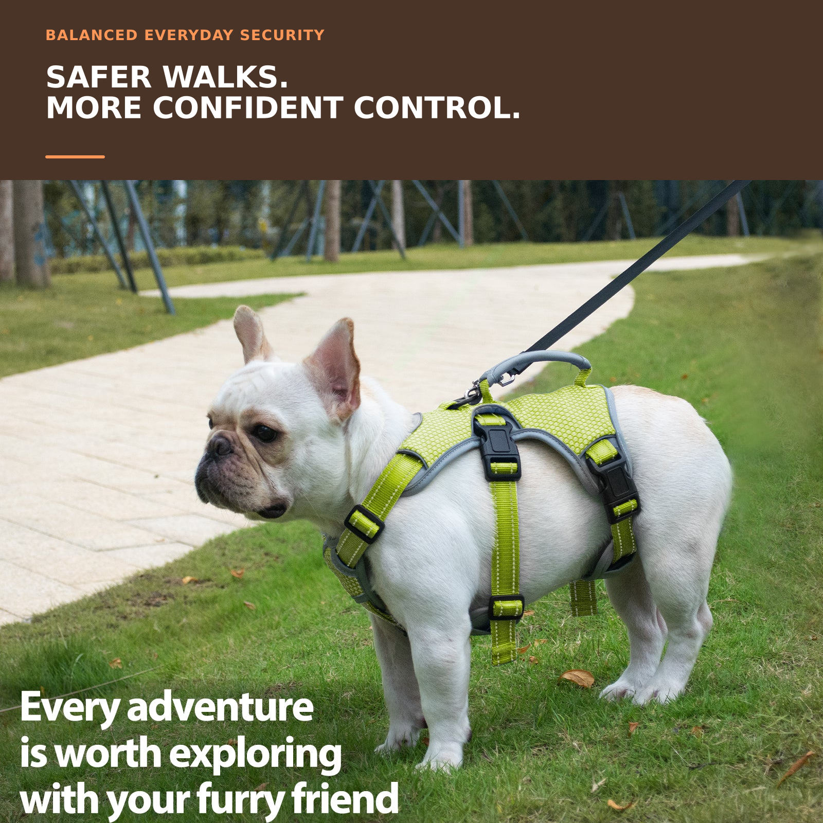 Huntboo BackSecure Reflective dog harness in green, worn by a dog outdoors #color_green