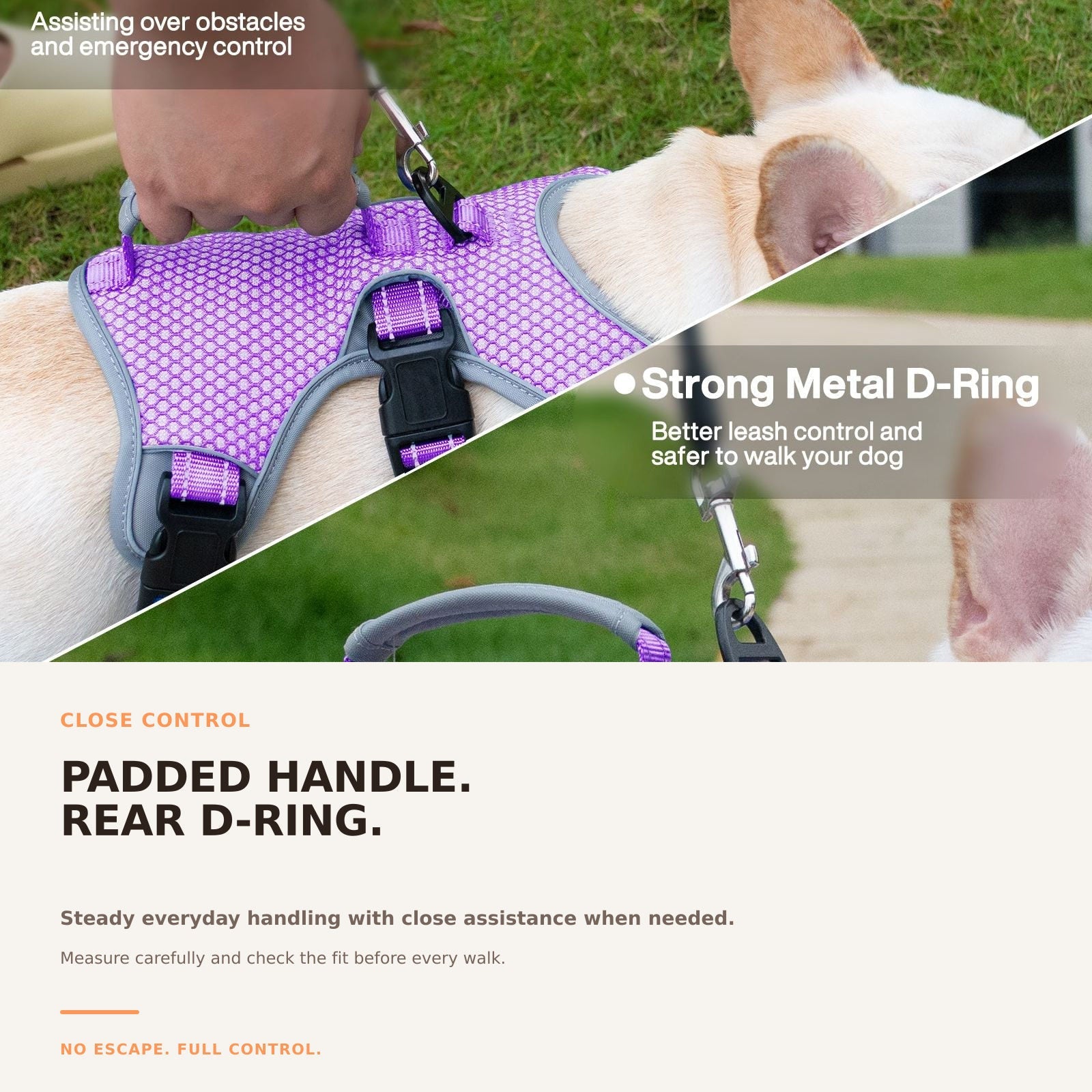 Huntboo BackSecure Reflective dog harness in lavender purple, adjustable fit details #color_lavender purple