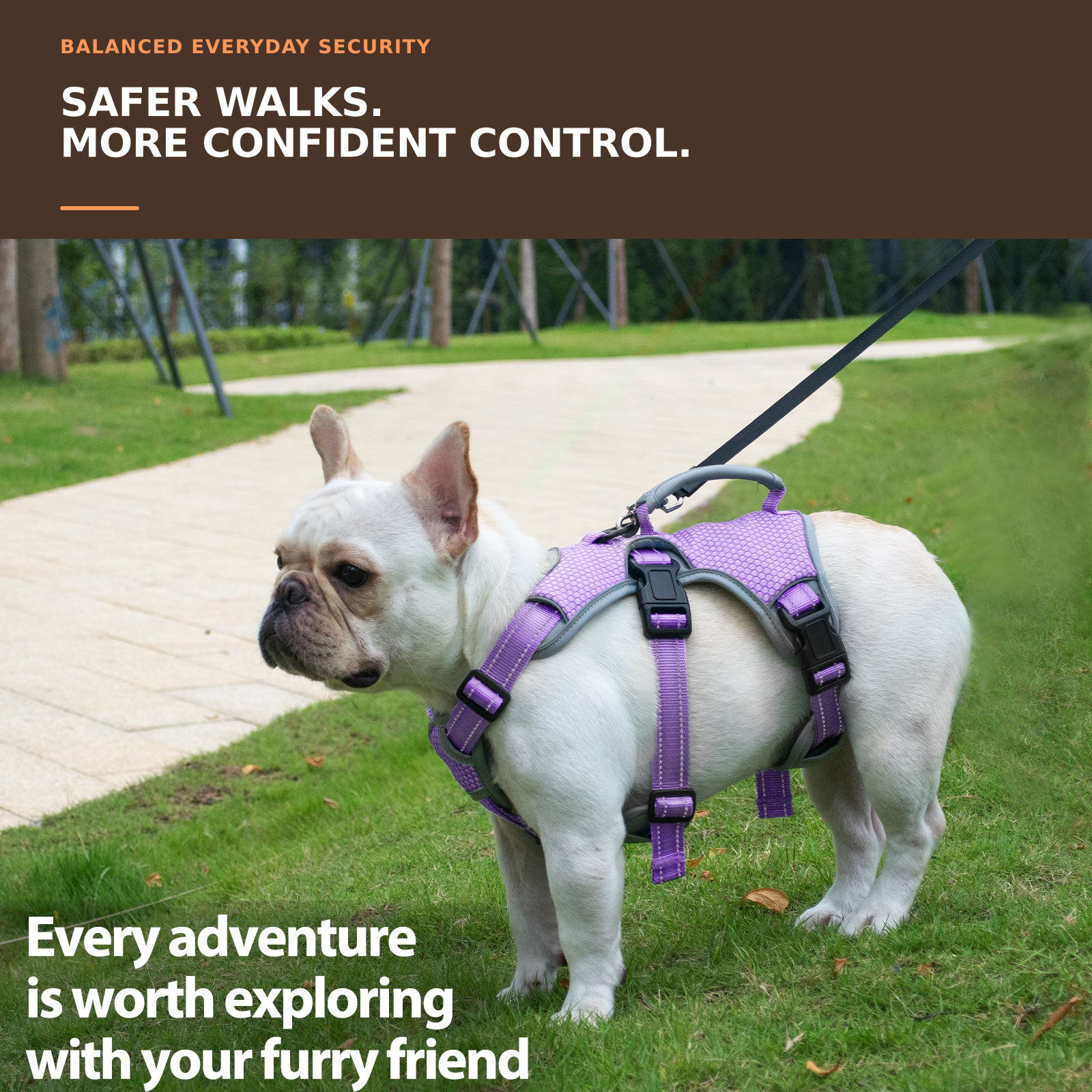 Huntboo BackSecure Reflective dog harness in lavender purple, worn by a dog outdoors #color_lavender purple