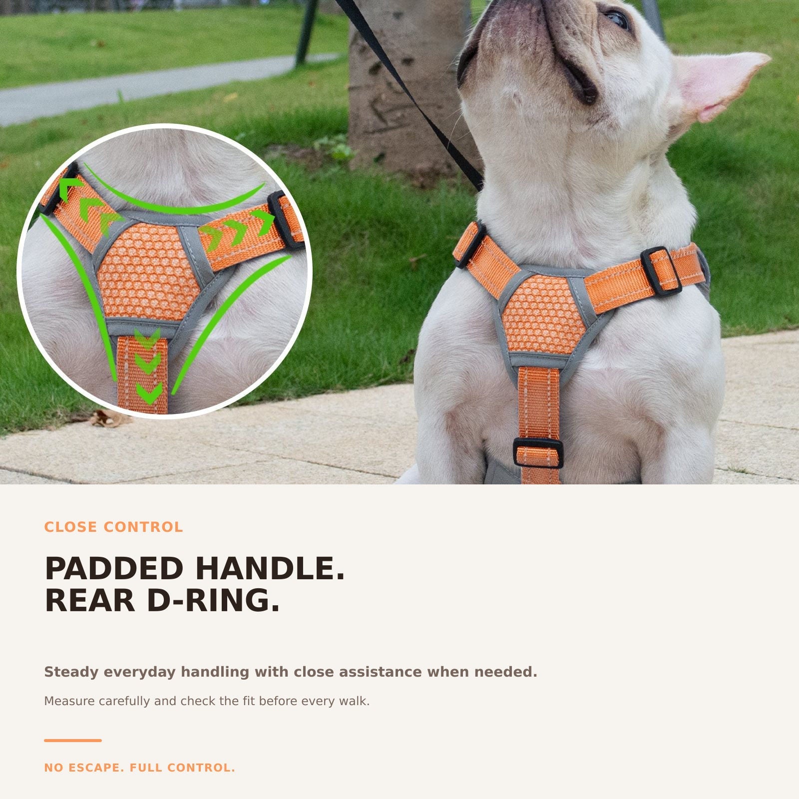 Huntboo BackSecure Reflective dog harness in orange, adjustable fit details #color_orange