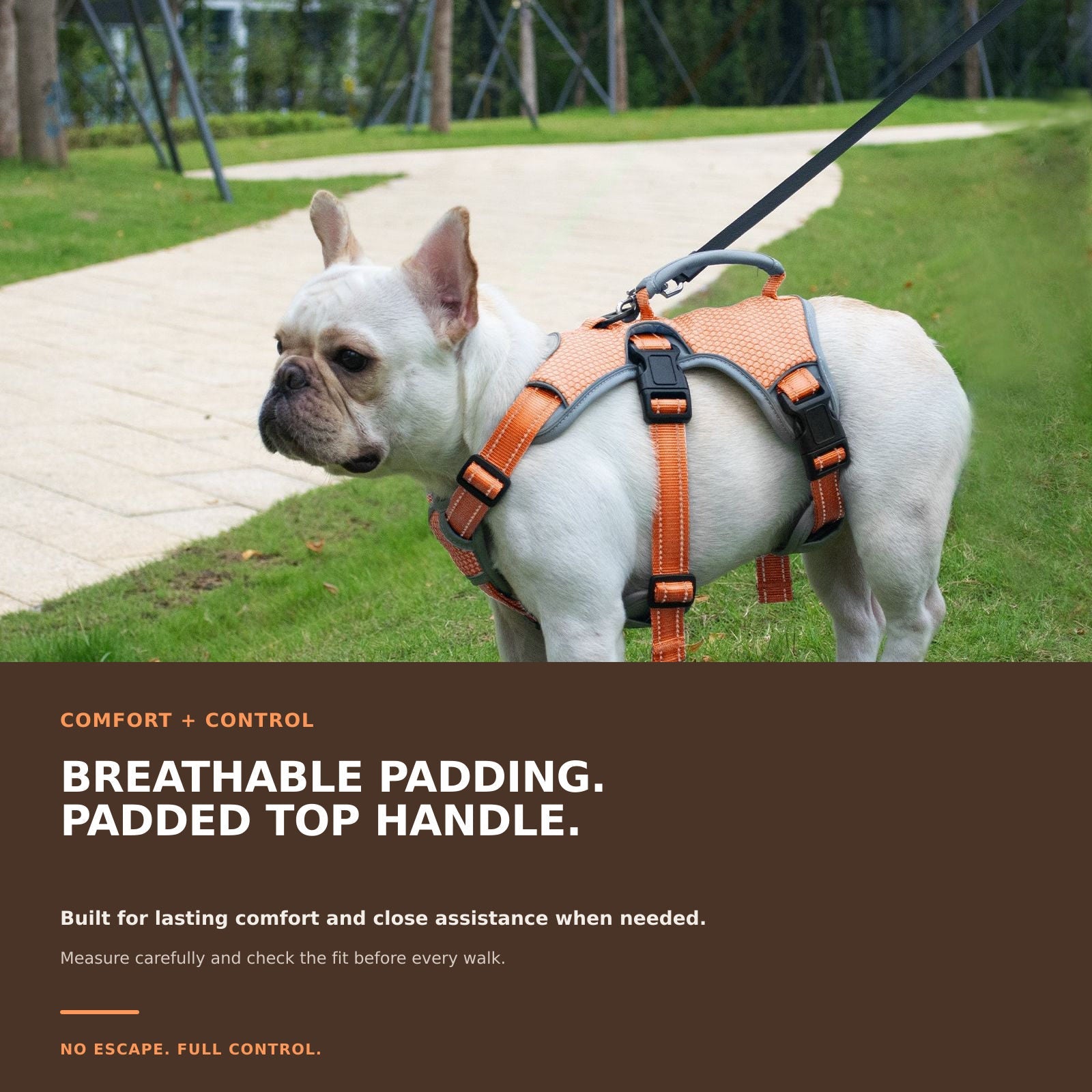 Huntboo BackSecure Reflective dog harness in orange, padded comfort details #color_orange