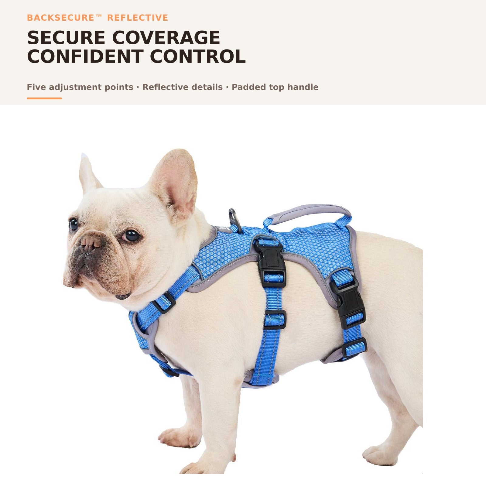 Huntboo BackSecure Reflective dog harness in sea blue, overall fit and coverage #color_sea blue