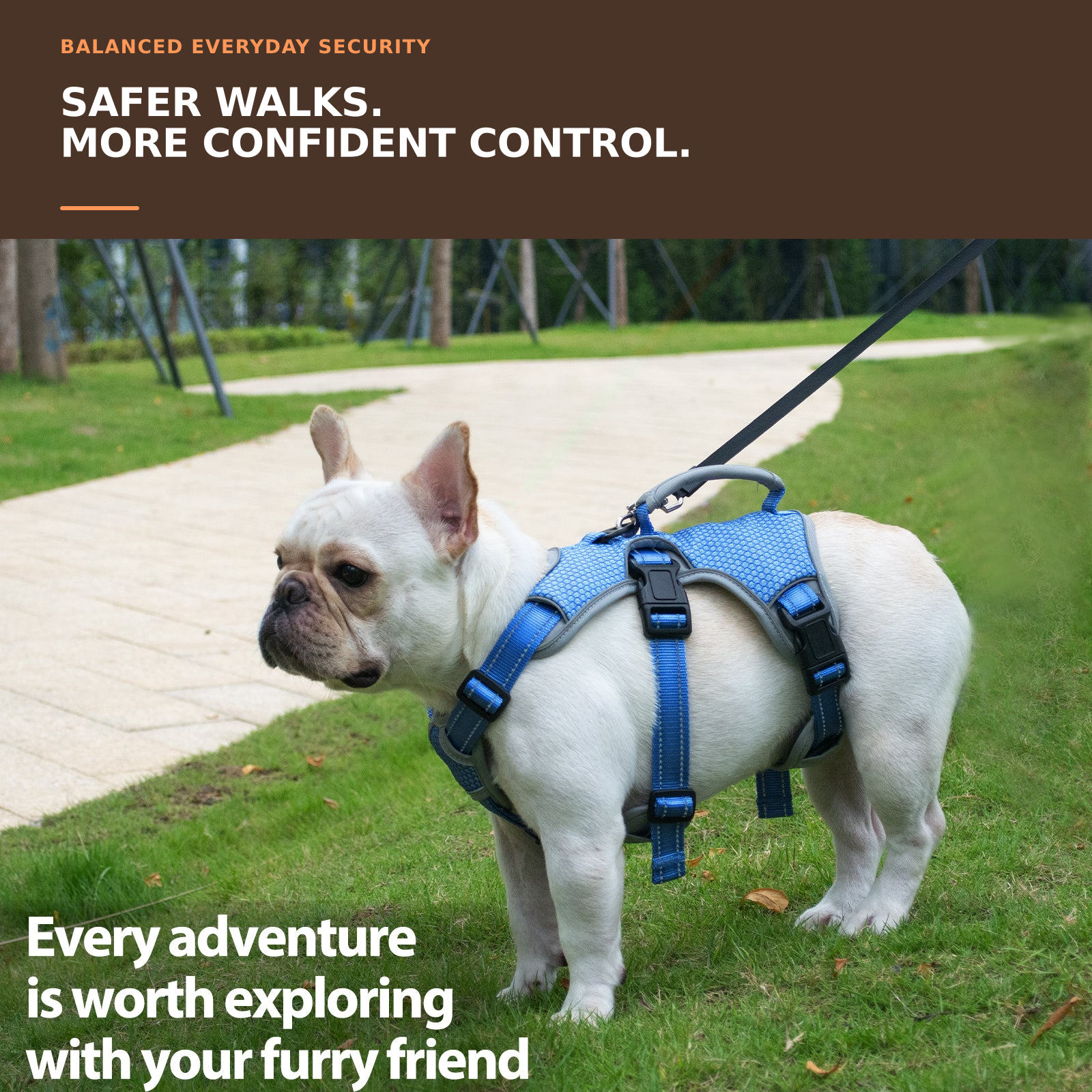 Huntboo BackSecure Reflective dog harness in sea blue, worn by a dog outdoors #color_sea blue