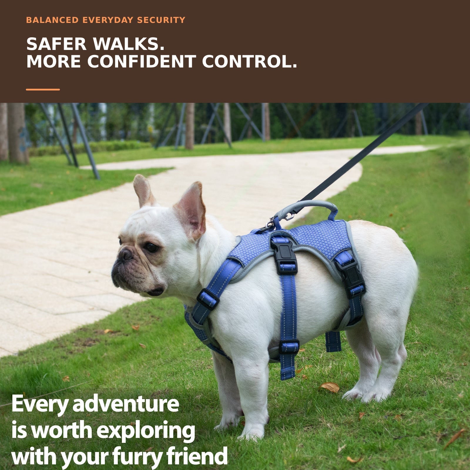 Huntboo BackSecure Reflective dog harness in tech blue, worn by a dog outdoors #color_tech blue