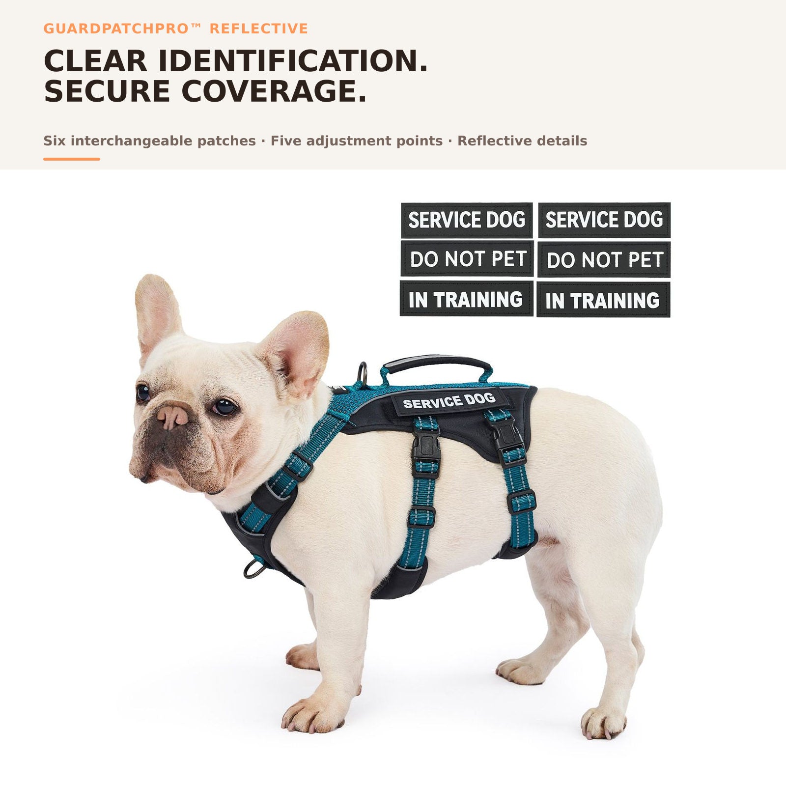 GuardPatchPro Reflective Teal dog harness #color_teal