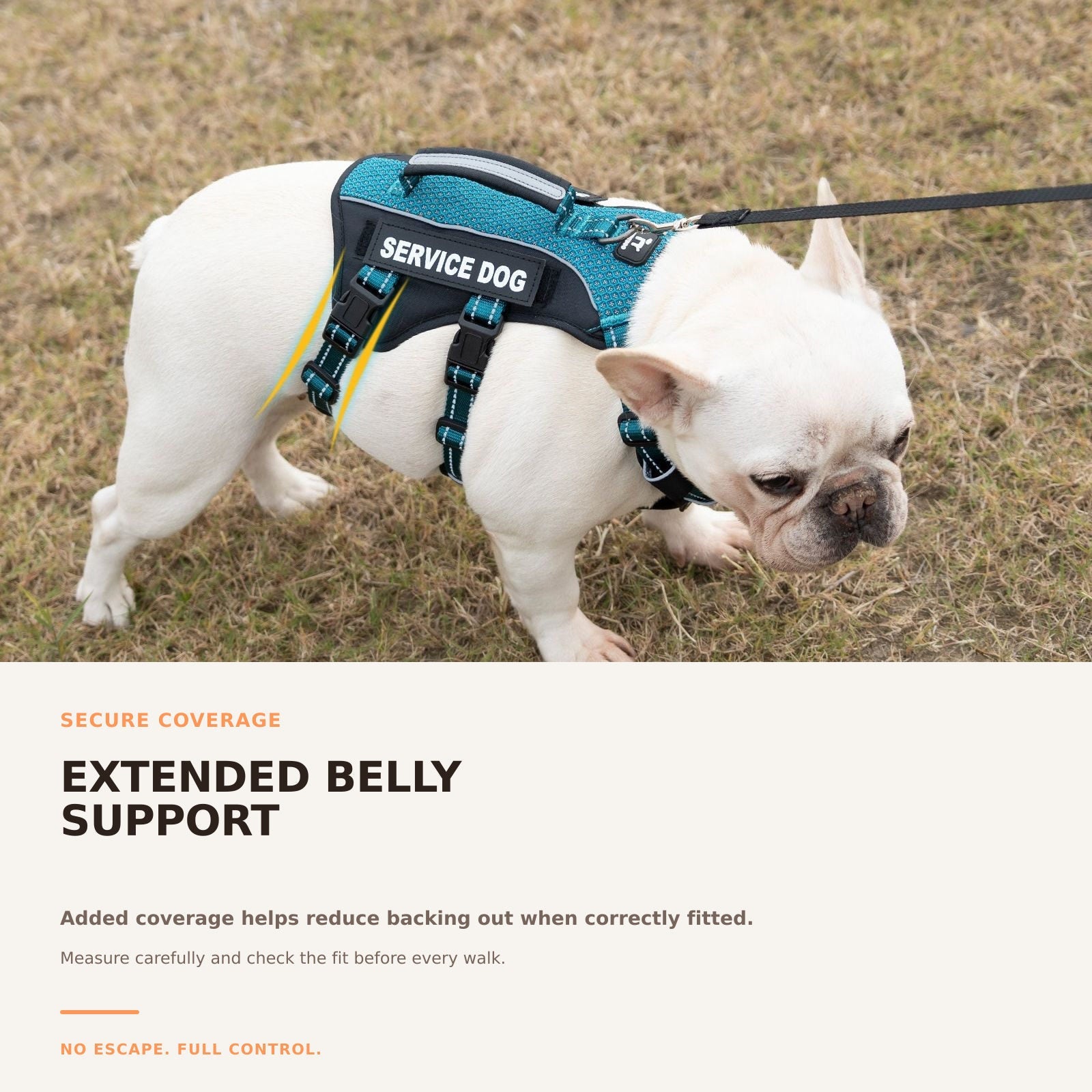GuardPatchPro Reflective Teal dog harness #color_teal