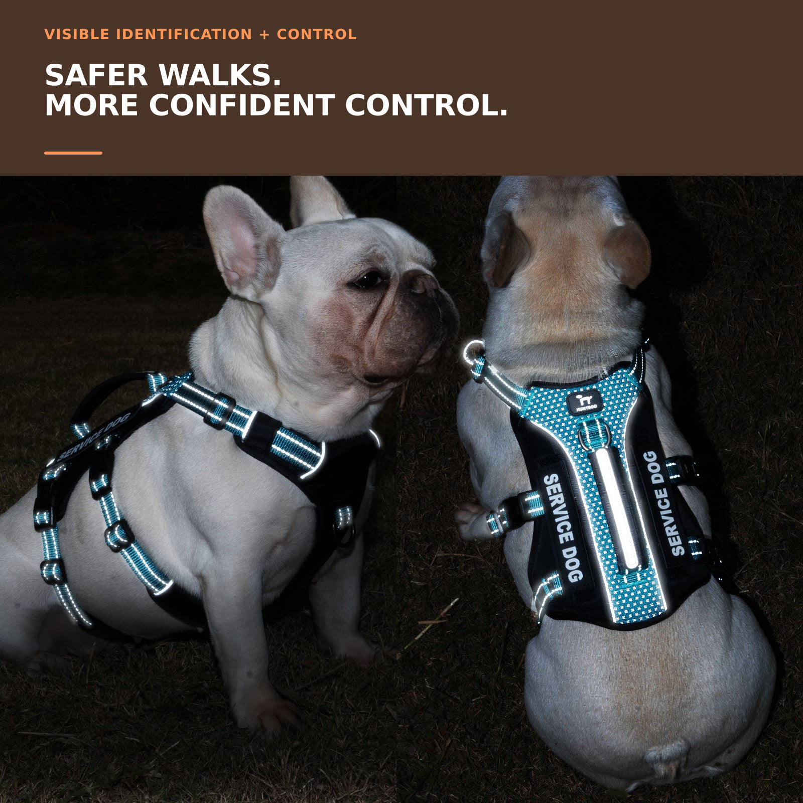 GuardPatchPro Reflective Teal dog harness #color_teal