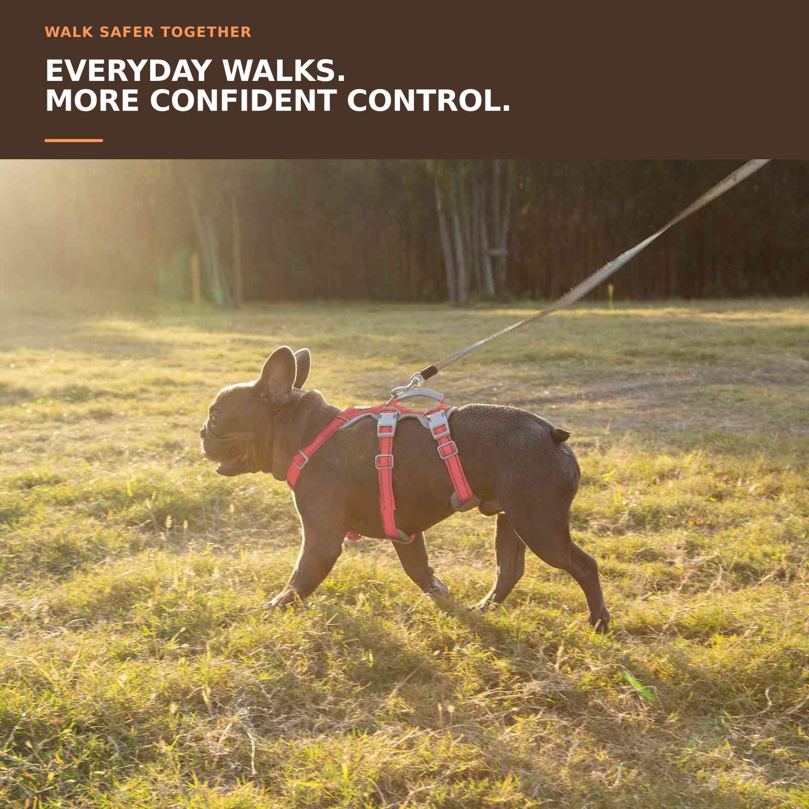 Huntboo HalfGuardian Reflective escape-proof dog harness in red, worn by a dog outdoors #color_red