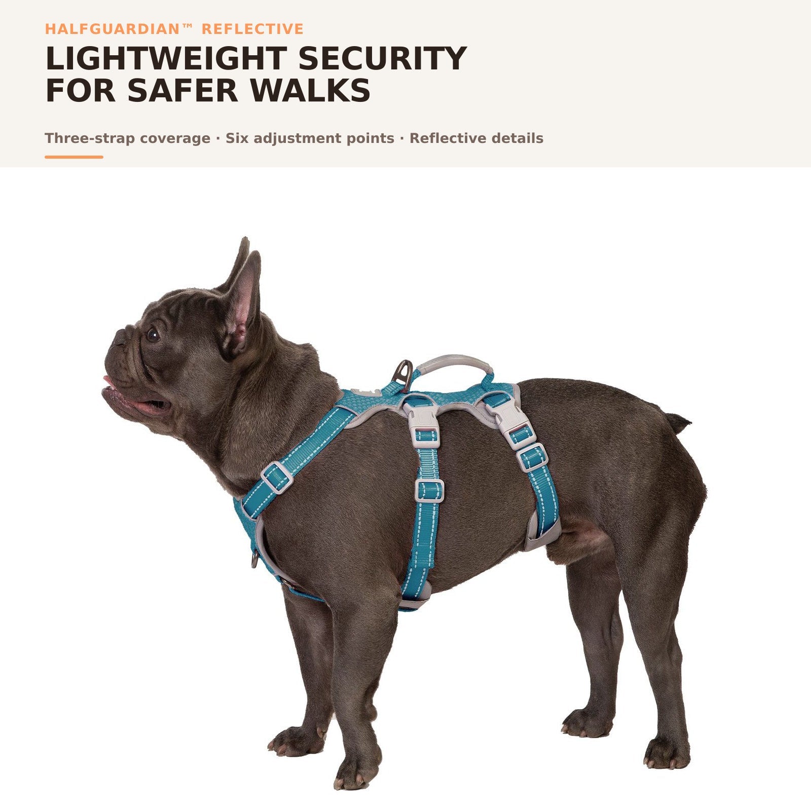 Huntboo HalfGuardian Reflective escape-proof dog harness in teal, on-dog overview #color_teal