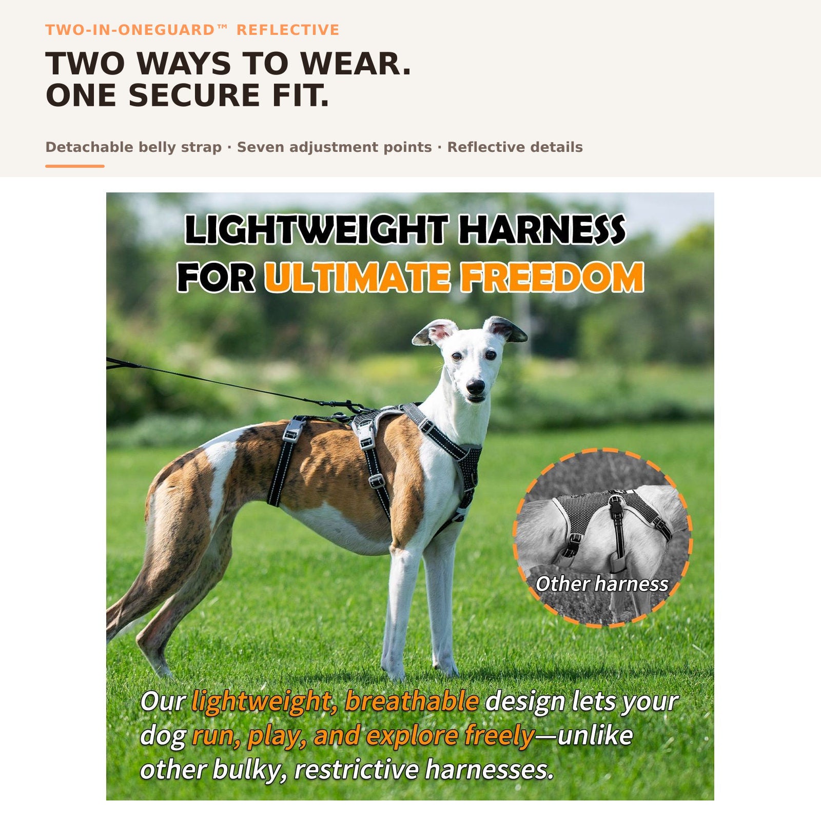 Huntboo Two-in-OneGuard Reflective dog harness in black, overall fit and coverage #color_black
