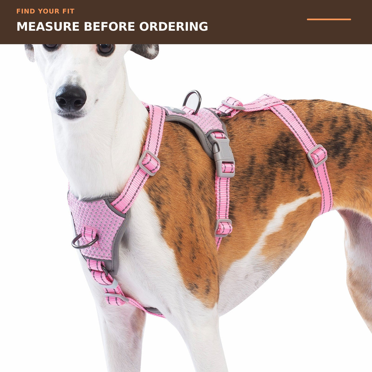 Huntboo Two-in-OneGuard Reflective dog harness in pink, size and measurement guide #color_pink