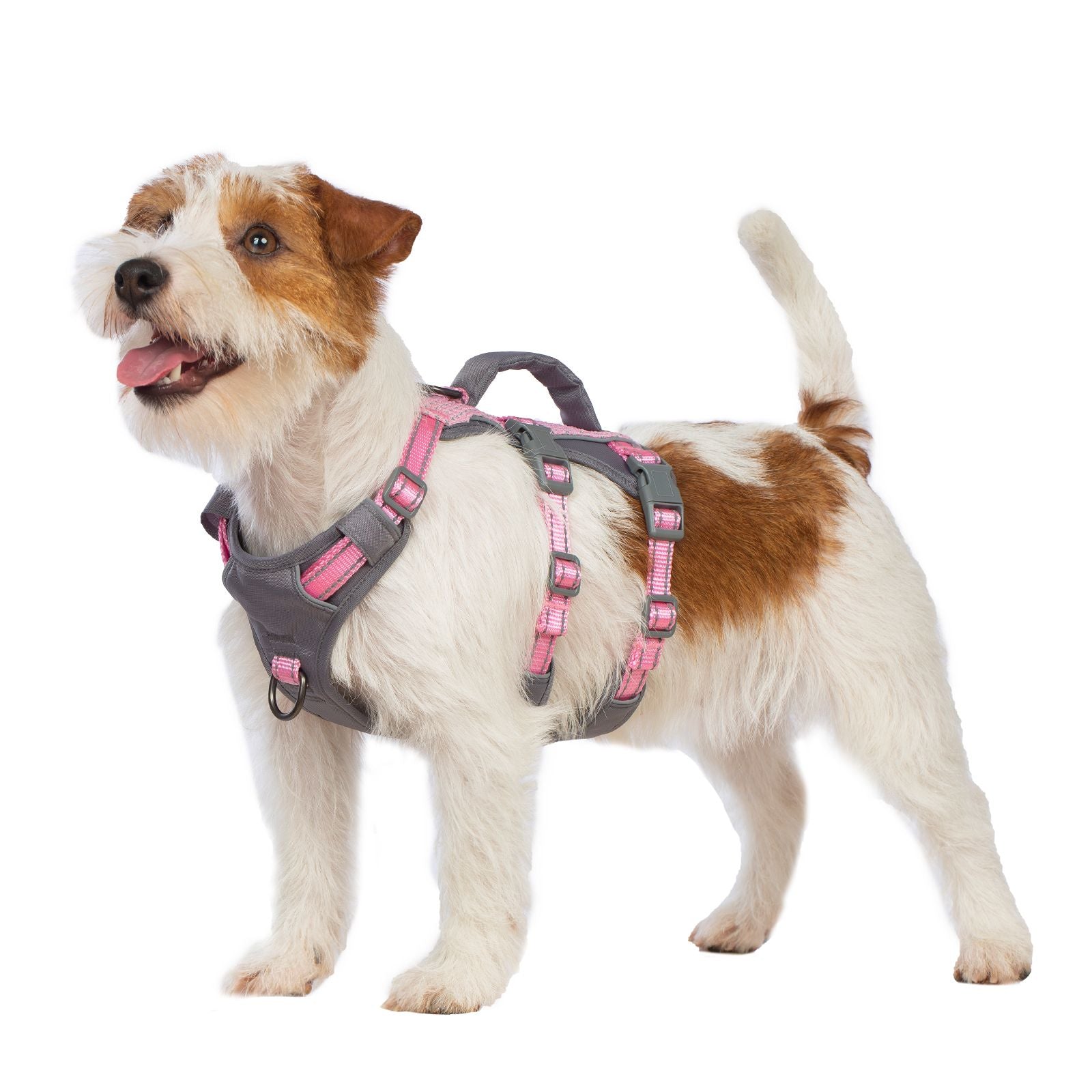 AllShieldPro Reflective Light Pink dog harness alternate product view and strap layout