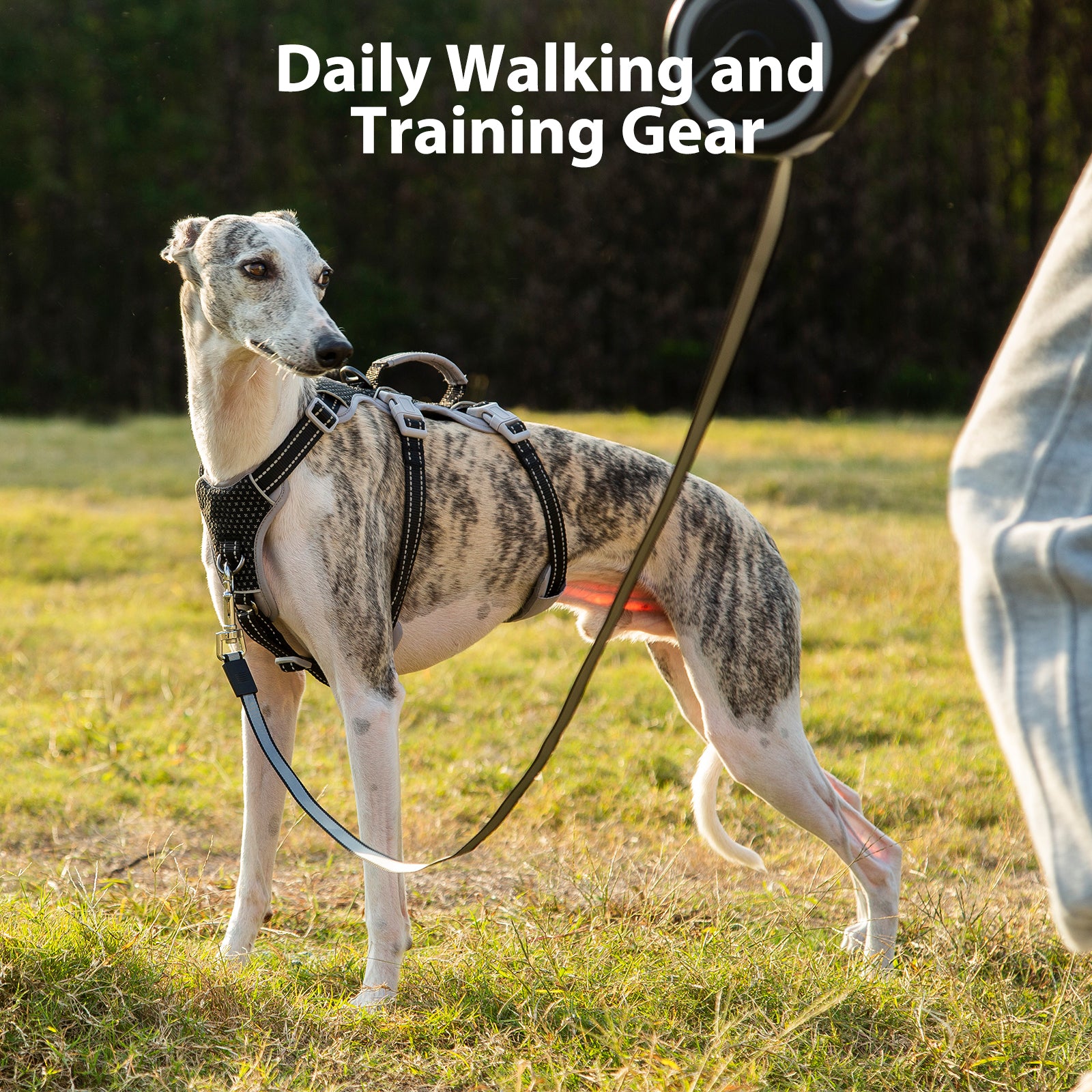 HalfGuardian™ Reflective Escape Proof Dog Harness Static Black