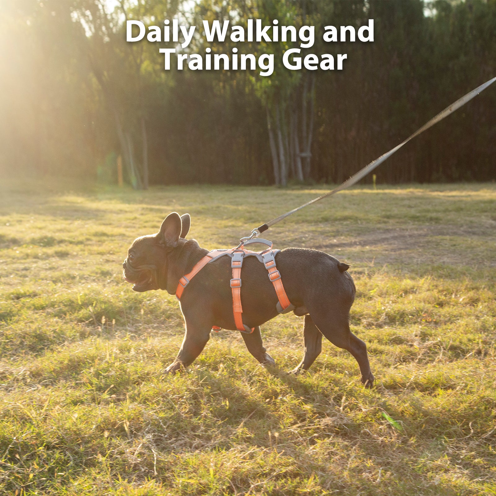 HalfGuardian™ Reflective Escape Proof Dog Harness Bright Orange