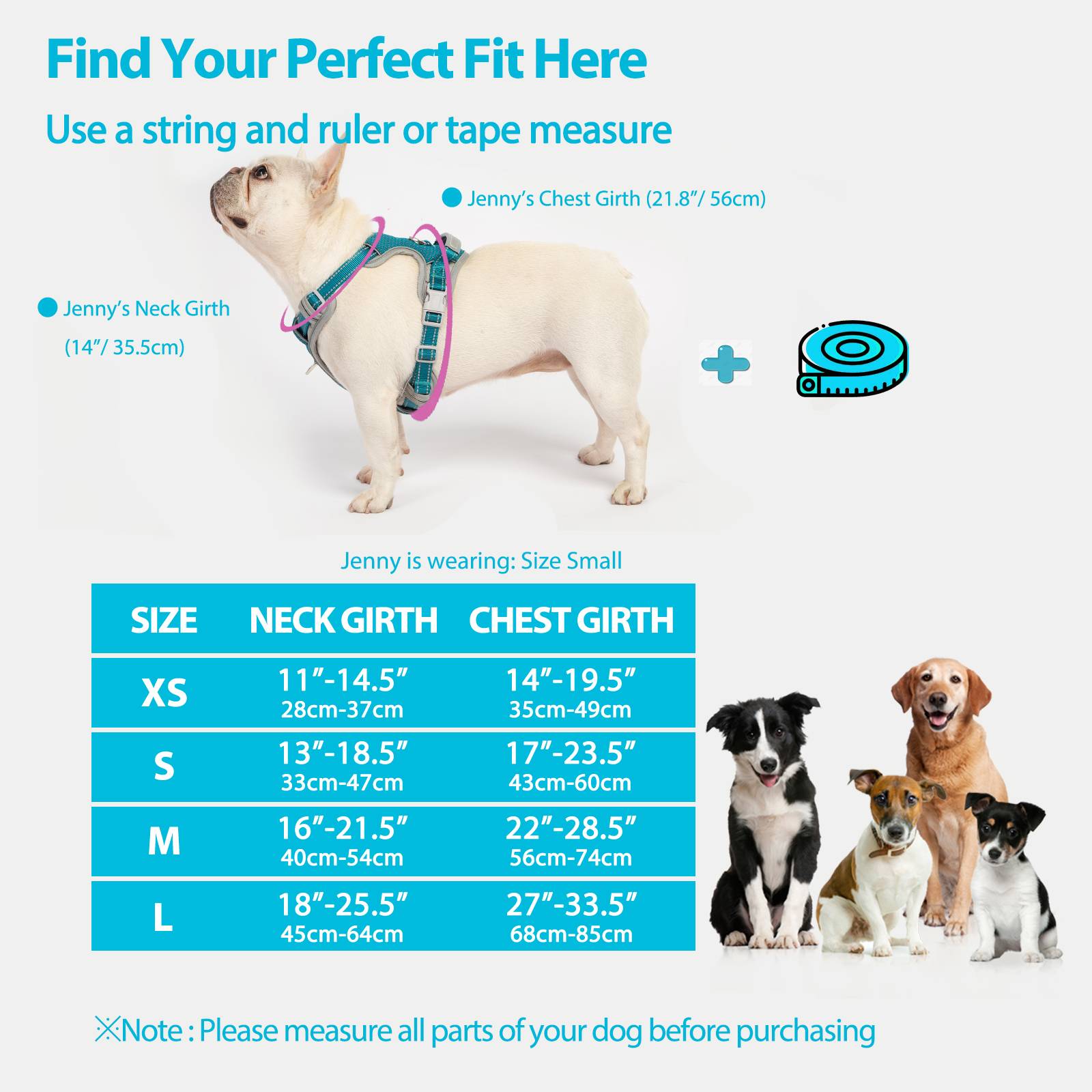 LiteTrail™ Reflective No Pull Dog Harness Blue