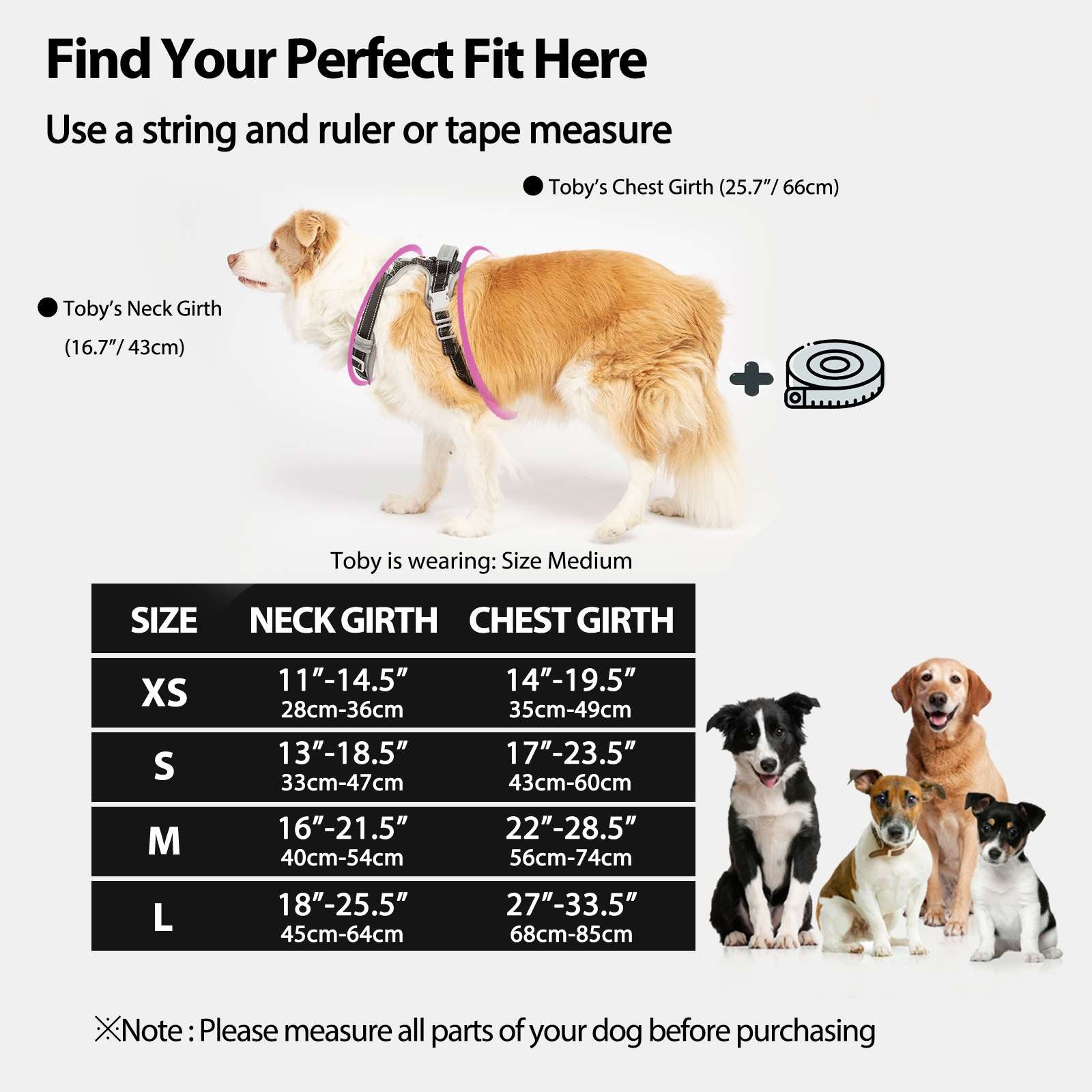 LiteTrail™ Reflective No Pull Dog Harness Black